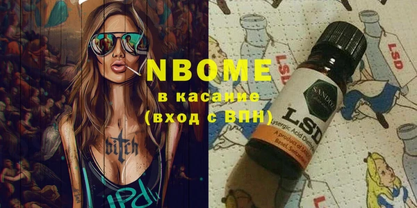 индика Апатиты