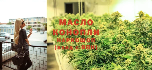 индика Апатиты