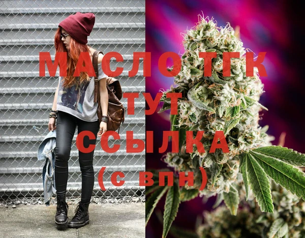 индика Апатиты